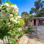 Beautiful In With Wifi Veli Lošinj